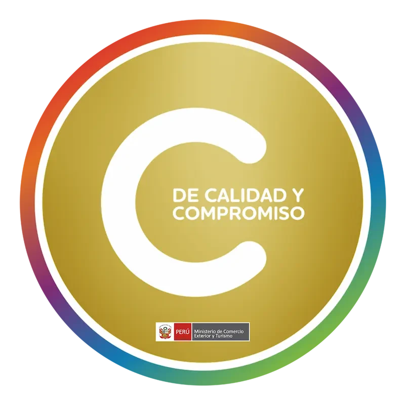 Certificate 11